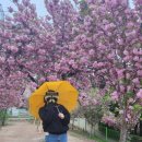 신비우동 월배점 이미지