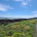 상모3리 이미지