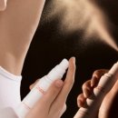 화이트썬데이 이미지