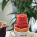 비니프 이미지