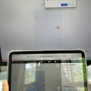 (사)부산광역시수영구장애인협회 | 9월 일기: 부국제와 야구 직관 그리고 공원