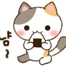 청춘막창대창