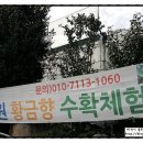 팜핑제주 이미지