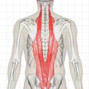 (주)비브라더 이미지