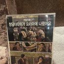 더타이피 이미지
