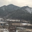 자작나무숲 스테이 | 강원도 인제 펜션 소월숲스테이 자작나무숲 근처 고요한 독채 숙소