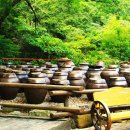 유성여관 이미지