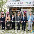 이선애갤러리 이미지
