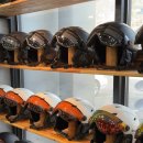 덕유산스키샵, 콘도 이미지