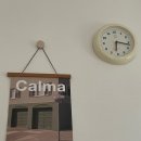 레이지연화 이미지