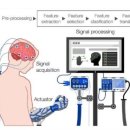 인터페이스 이미지