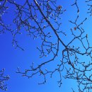 유엔기념공원주차장 이미지