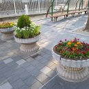 중계본동 이미지