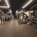 렉스휘트니스 이미지