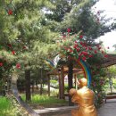 도당한의원 이미지