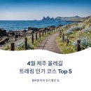 카페광령올레17 | 4월 제주 올레길 트레킹 인기 코스 Top 5 봄바람 따라 걷기 좋은 길