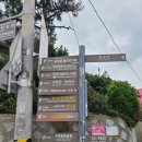 YOLO갈맷길 8코스 이미지