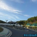 뿌리디엔씨