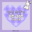 26470-01-21-318 | 임신일기 임신 초중기 11주-20주 상세기록