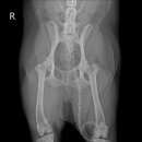 검단이담동물의료센터 이미지