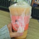 여주-0417 | 20220411~0417 첫 휴가는 강원도로💙