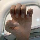 정신자석 | 창원 상남동 네일샵 추천 나엘뷰티 자석젤네일 후기 네일 패디 잘하는 곳
