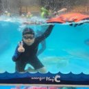 슈퍼아이태권도장 이미지