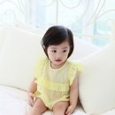 사과나무(주) 이미지