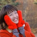 이것저것 | 블로기 잡상인의 이것저것 구매,추천 후기🧳