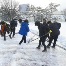 제천정구장 이미지