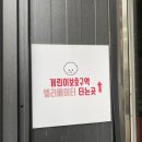 개린이보호구역 | 대구애견카페 개린이보호구역 잼잼이랑 함께 다녀왔어요 😋