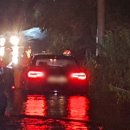 부안 기러기 농장 이미지