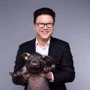 양돈 농장 이미지