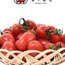 방주농장 이미지