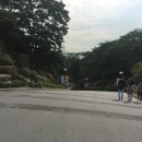 애플맥시스