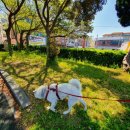 펫마마스푸드 | 오늘도 다녀왔다! <제주 펫마마스푸드> 후기2222