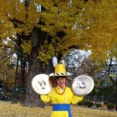 트롯장구 이미지