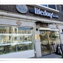 라이프독 강릉점 24시 강아지분양 고양이분양 이미지