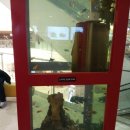 현대수족관 이미지