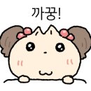 밀화당베이커리카페
