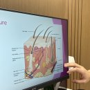비본영의원 이미지