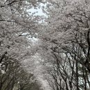 홍성 중담1공영주차장 이미지