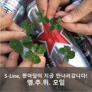 소파앤스파크