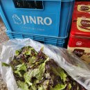 계림동성당 | 첫 단기알바 썰 (feat.고서회관)