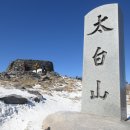 차돌배기로1 이미지