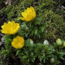 제비2리 이미지