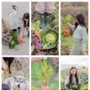 전식농장 이미지