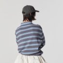 비버피시 이미지