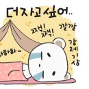 배너미오토캠핑장 이미지