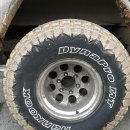 스피드카클리닉 이미지